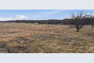 633 N Stallion Meadows Drive, Perrin, TX 76486 - Photo 15