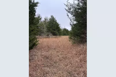 23 County Road 2950, Windom, TX 75306 - Photo 7