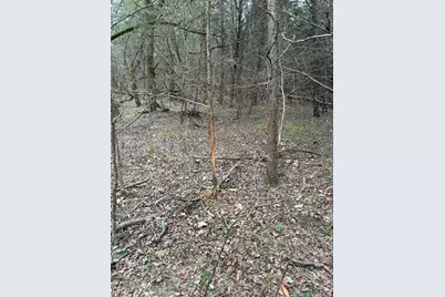 23 County Road 2950, Windom, TX 75306 - Photo 11