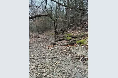 23 County Road 2950, Windom, TX 75306 - Photo 5