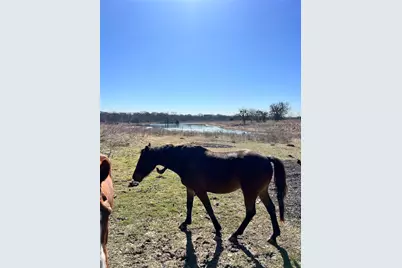 0000 Cr-161, Kaufman, TX 75142 - Photo 7