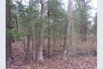 000 Hideaway, Murchison, TX 75778 - Photo 3