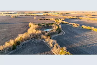 Tbd Fm 128, Ben Franklin, TX 75415 - Photo 11