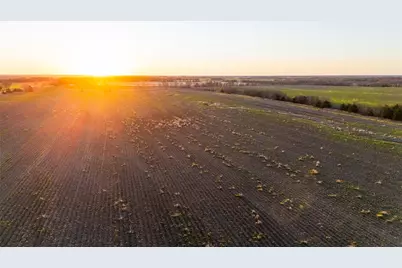 Tbd Fm 128, Ben Franklin, TX 75415 - Photo 1