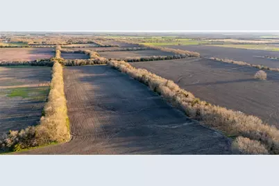 Tbd Fm 128, Ben Franklin, TX 75415 - Photo 5