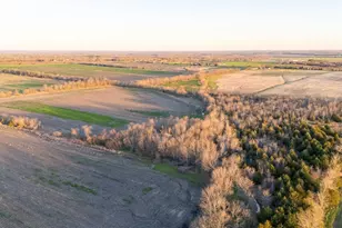 Tbd County Rd 3070, Ben Franklin, TX 75415 - Photo 1