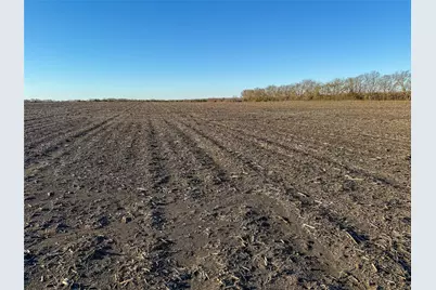 Tbd County Road 3070, Ben Franklin, TX 75415 - Photo 15