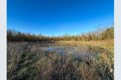 Tbd County Road 3070, Ben Franklin, TX 75415 - Photo 17