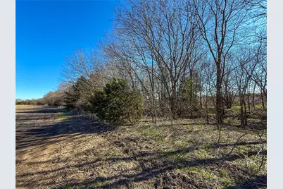 Tbd County Rd 3240, Ben Franklin, TX 75415 - Photo 13