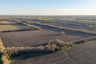 Tbd County Road 3240, Ben Franklin, TX 75415 - Photo 1