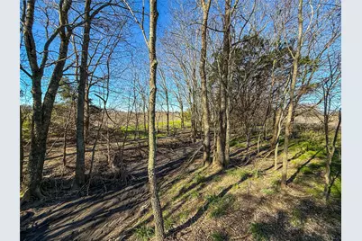 Tbd County Road 3240, Ben Franklin, TX 75415 - Photo 13