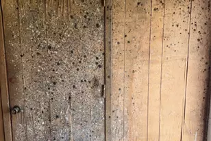 409 Opal St, Saginaw, TX 76179 - Photo 15