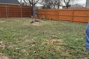 2003 Leath St, Dallas, TX 75212 - Photo 23