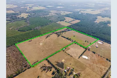 255 Cr 4645, Winnsboro, TX 75494 - Photo 3