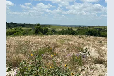 2517 Tom Chaney Drive #103, Cresson, TX 76035 - Photo 5