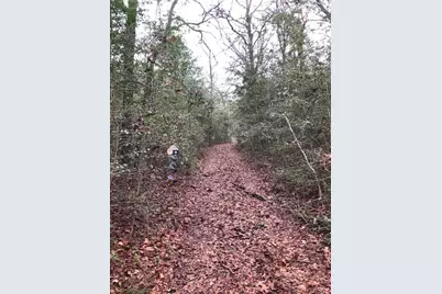 127 Lincoln Drive, Streetman, TX 75859 - Photo 7