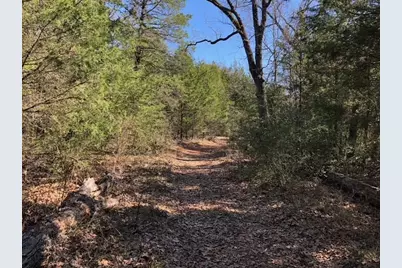 128 Lincoln Drive, Streetman, TX 75859 - Photo 15