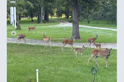 6951 E County Road 315, Buffalo, TX 75831 - Photo 39