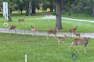 6951 E County Road 315, Buffalo, TX 75831 - Photo 39