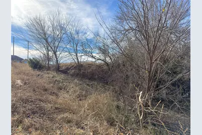 109 Colonial Creek Lane, Weatherford, TX 76088 - Photo 5