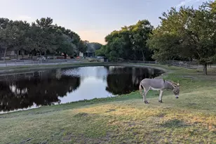 5440 Hwy 78 S, Nevada, TX 75173 - Photo 27