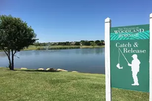 12348 Macaroon Ln, Fort Worth, TX 76244 - Photo 35