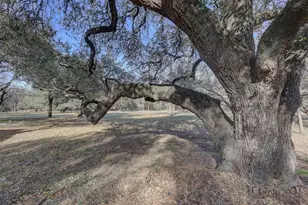 258 Cedar Elm Dr, Whitney, TX 76692 - Photo 17