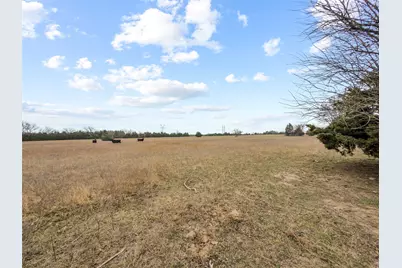 Tract 1 County Road 1255, Savoy, TX 75479 - Photo 7