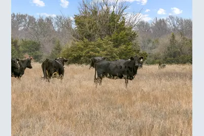 Tract 3 County Road 1255, Savoy, TX 75479 - Photo 11