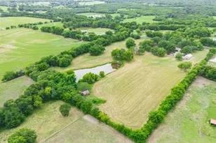 3711 Fm 513 S, Lone Oak, TX 75453 - Photo 27