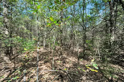 124 Summerall Lane, Red Oak, TX 75154 - Photo 25