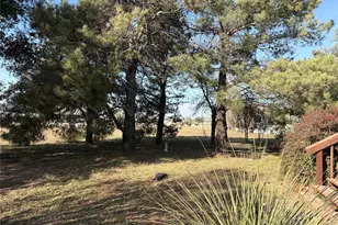 8461 Longhorn Dr, Justin, TX 76247 - Photo 15