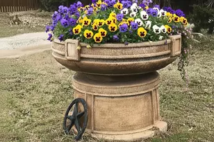 224 Cactus Ridge Ct, Springtown, TX 76082 - Photo 27