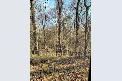 0 Wood Lane, Mabank, TX 75156 - Photo 3