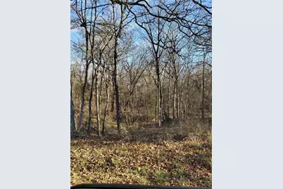 0 Wood Lane, Mabank, TX 75156 - Photo 1