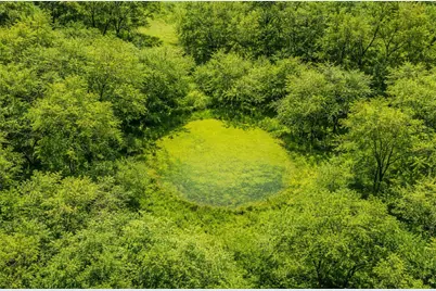 1029 Fm 2114, Aquilla, TX 76622 - Photo 11