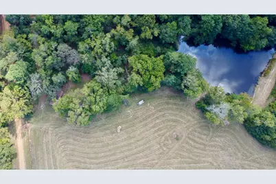 Tbd Cr 2737, Naples, TX 75568 - Photo 5