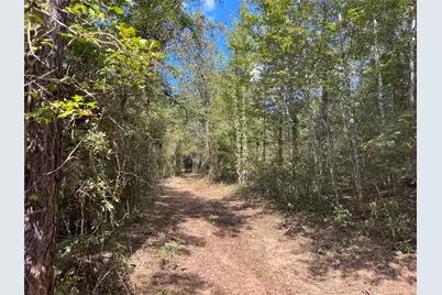 Tbd Cr 2737, Naples, TX 75568 - Photo 29