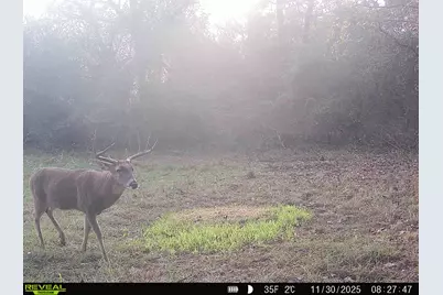 Tbd Cr 2737, Naples, TX 75568 - Photo 19