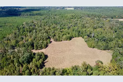 Tbd Cr 2737, Naples, TX 75568 - Photo 25