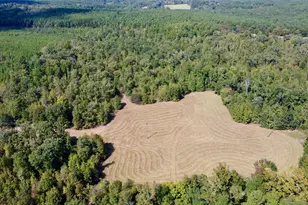 Tbd Cr 2737, Naples, TX 75568 - Photo 25