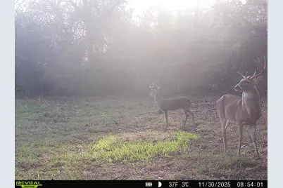 Tbd Cr 2737, Naples, TX 75568 - Photo 21