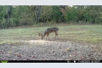 Tbd Cr 2737, Naples, TX 75568 - Photo 17