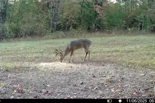 Tbd Cr 2737, Naples, TX 75568 - Photo 17