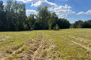 Tbd Cr 2737, Naples, TX 75568 - Photo 31