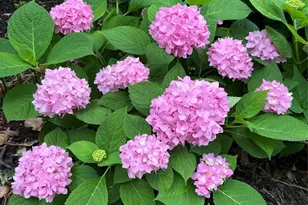 1606 Treehouse Ln N, Keller, TX 76262 - Photo 35