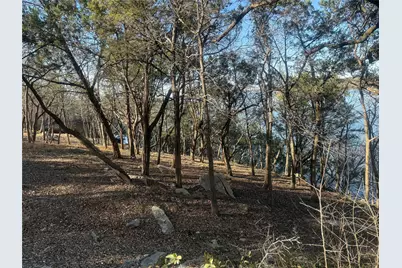 2508 River Ridge Court, Granbury, TX 76048 - Photo 3