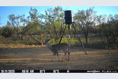 4435 County Road 120, Gordon, TX 76453 - Photo 17
