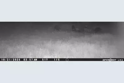 4435 County Road 120, Gordon, TX 76453 - Photo 19