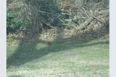 506 S 3rd Street, Grandview, TX 76050 - Photo 39